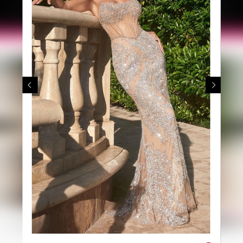 Elegant Silver and Nude Strapless Gown
